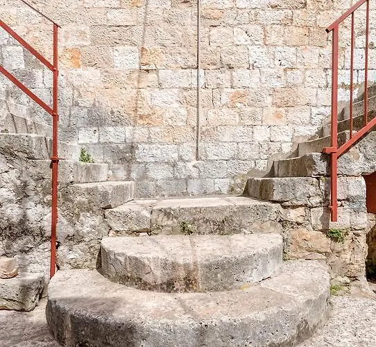 Bralic Vis
